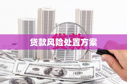 泸溪贷款风险处置方案