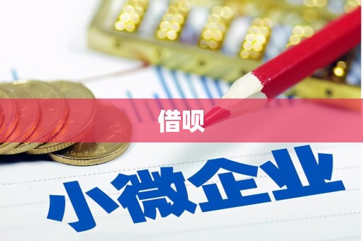伽师借呗