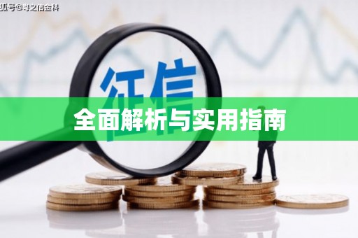 任城全面解析与实用指南