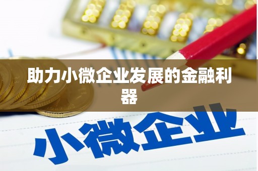 石鼓助力小微企业发展的金融利器